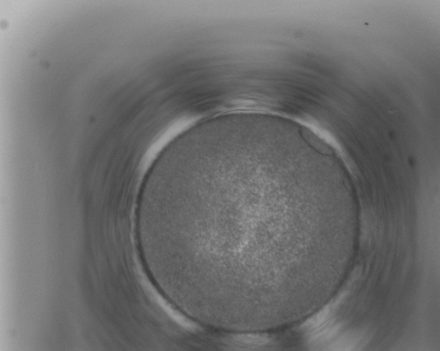 X0000062921333200601201952