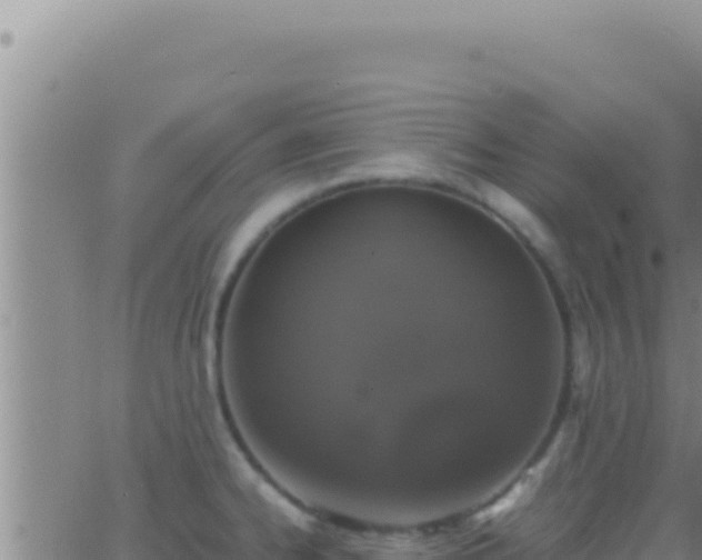 X0000062921334200601201952