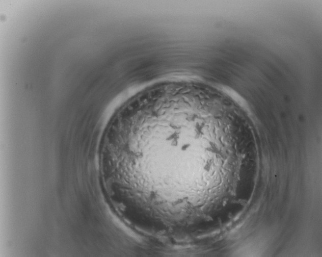 X0000062921335200601201952