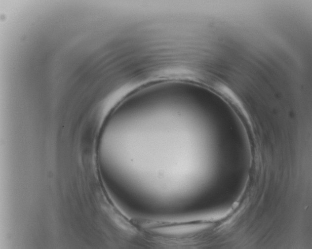 X0000062921336200601201952