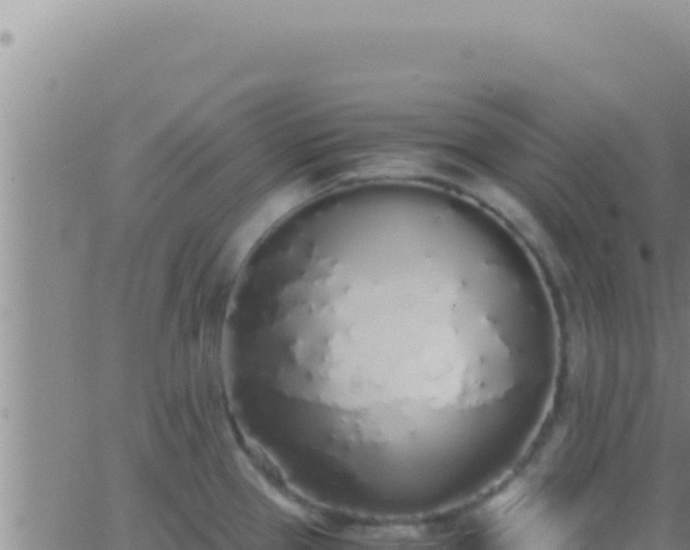 X0000062921337200601201952