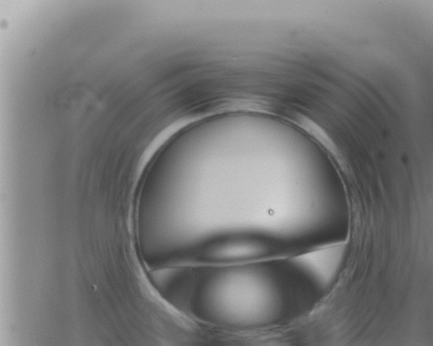 X0000062921339200601201952