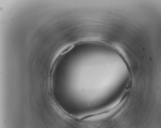 X0000062921340200601201952