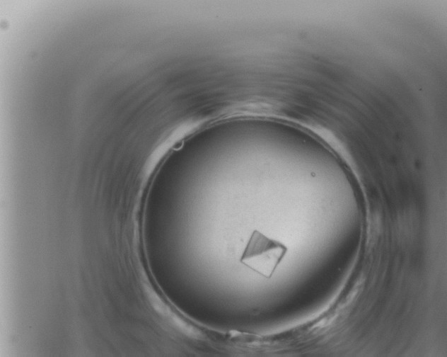 X0000062921341200601201952