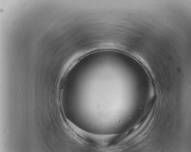 X0000062921342200601201952