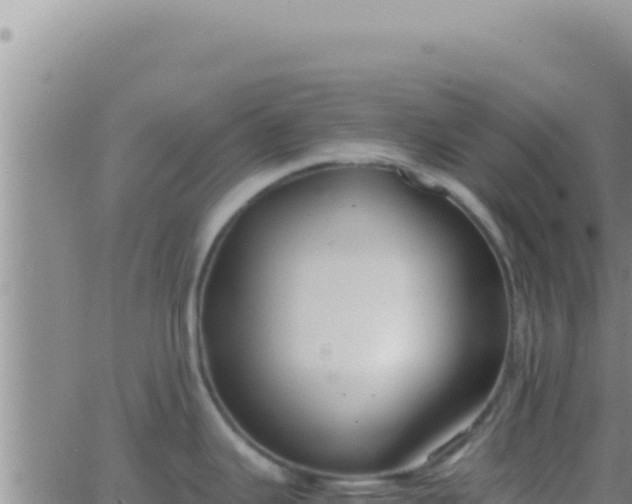 X0000062921343200601201952