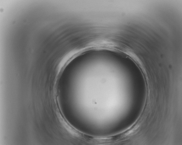 X0000062921344200601201952