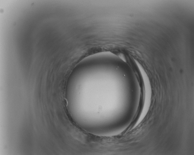 X0000062921345200601201951