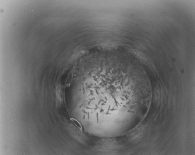 X0000062921346200601201951