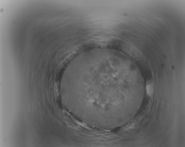 X0000062921347200601201951