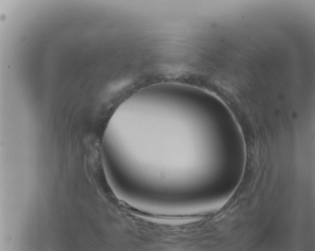 X0000062921349200601201951