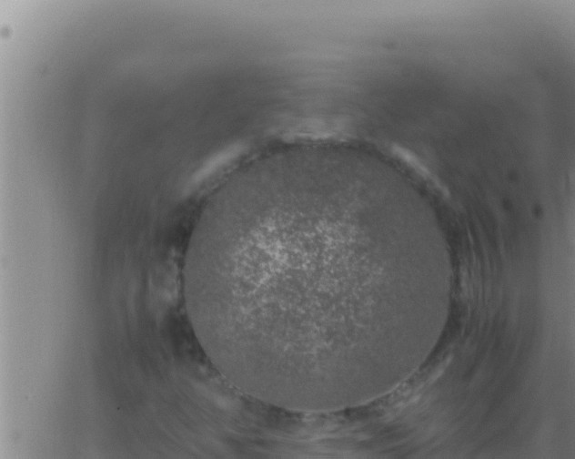 X0000062921350200601201951