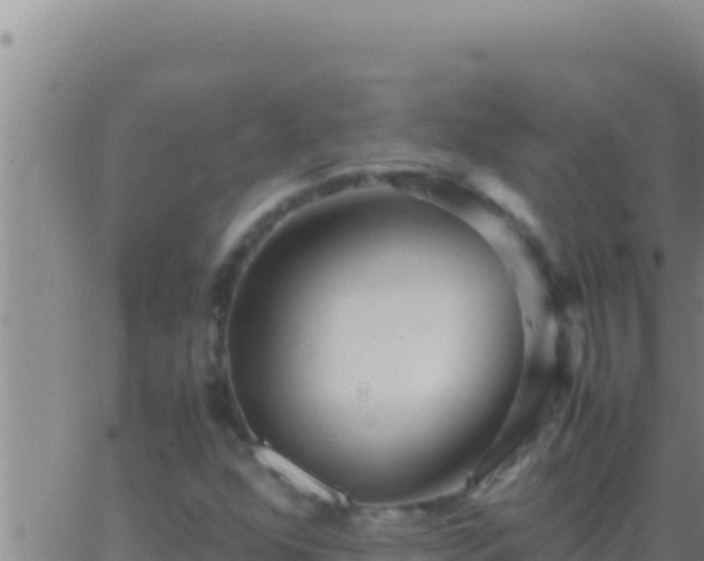 X0000062921352200601201951