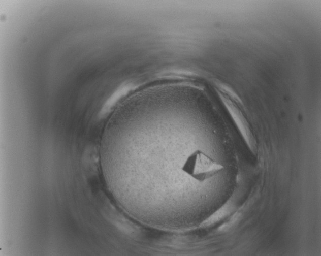 X0000062921355200601201951