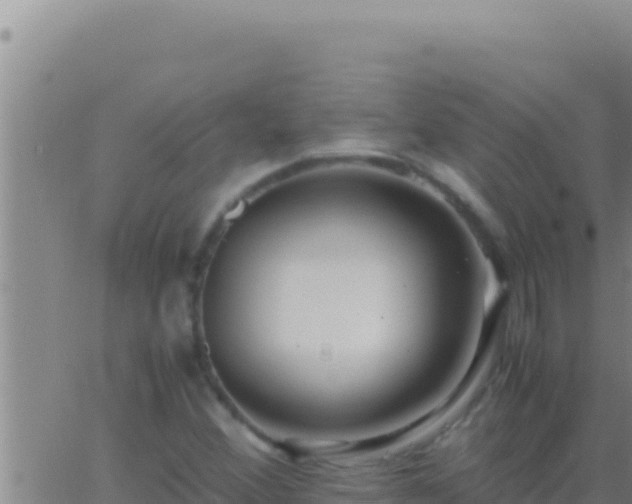 X0000062921356200601201951