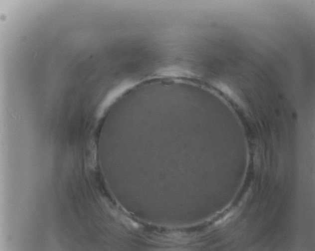 X0000062921358200601201951