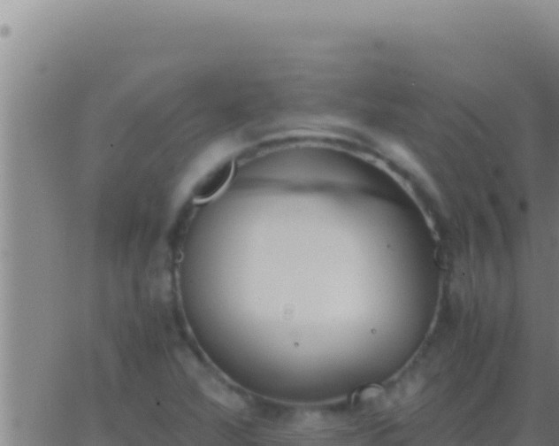 X0000062921360200601201951