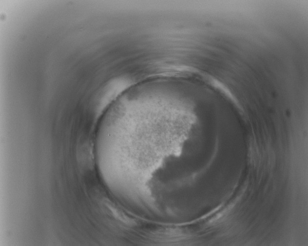 X0000062921362200601201951