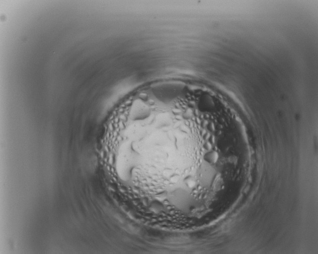 X0000062921363200601201951