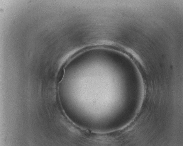 X0000062921364200601201951