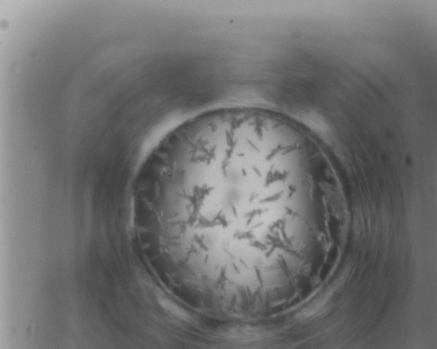 X0000062921366200601201951