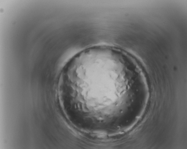 X0000062921367200601201951