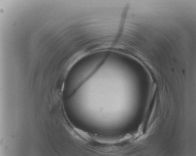 X0000062921369200601201951