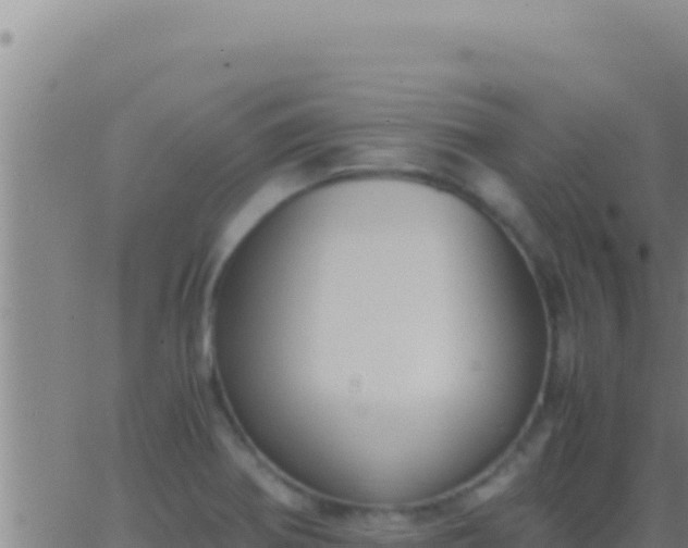 X0000062921370200601201951