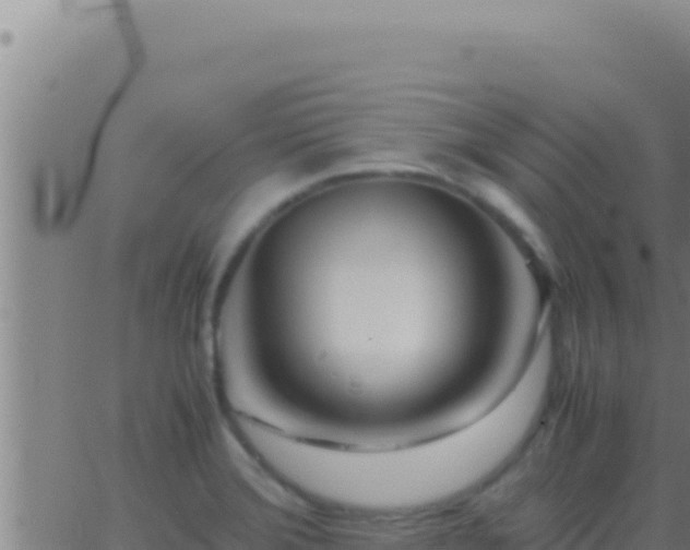 X0000062921372200601201951