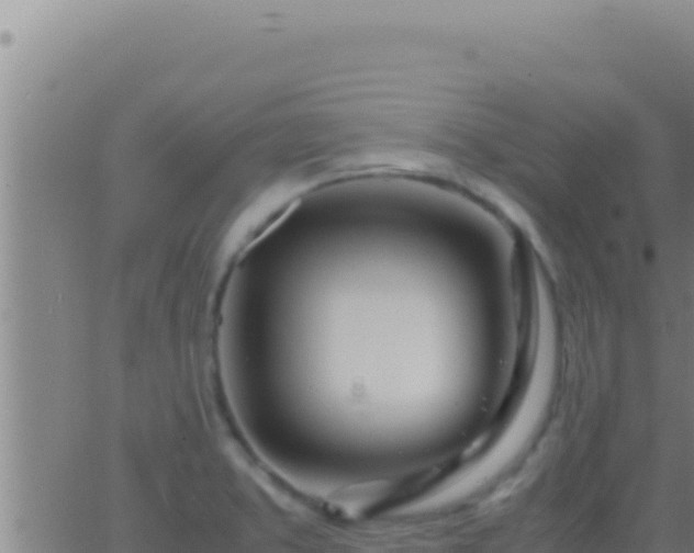 X0000062921373200601201951