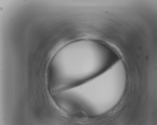 X0000062921375200601201951