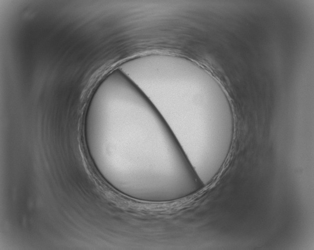 X0000062920001200601271817