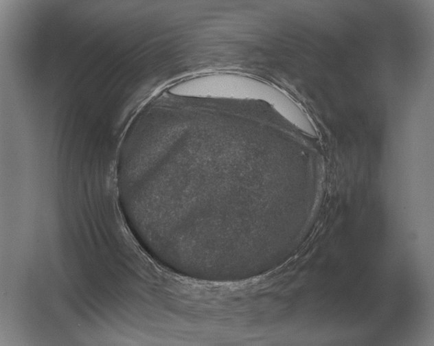 X0000062920002200601271817