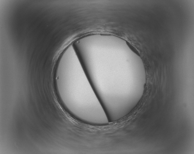 X0000062920005200601271817