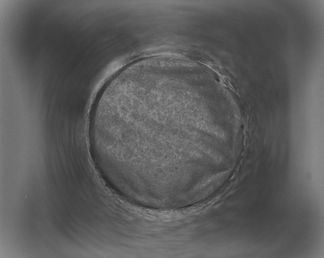 X0000062920006200601271817