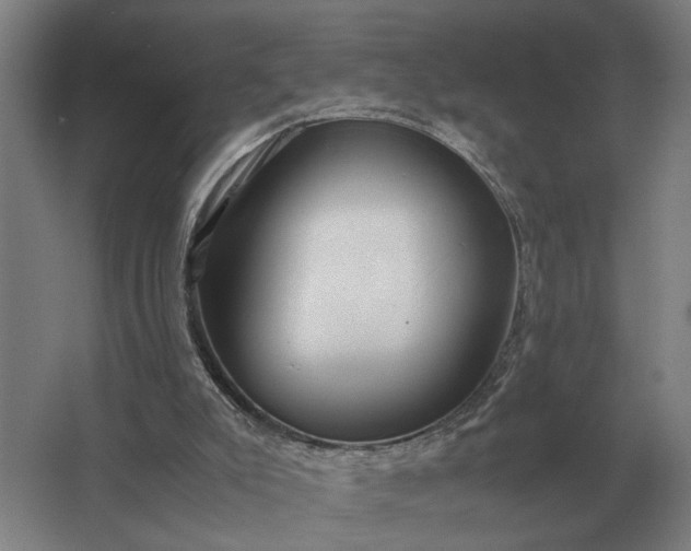 X0000062920007200601271817