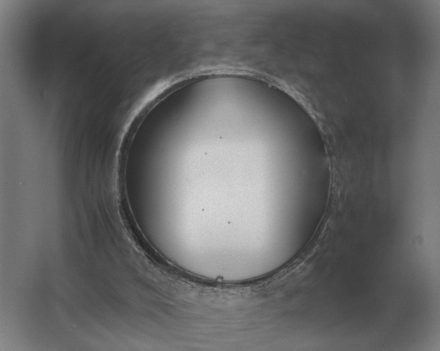 X0000062920008200601271817