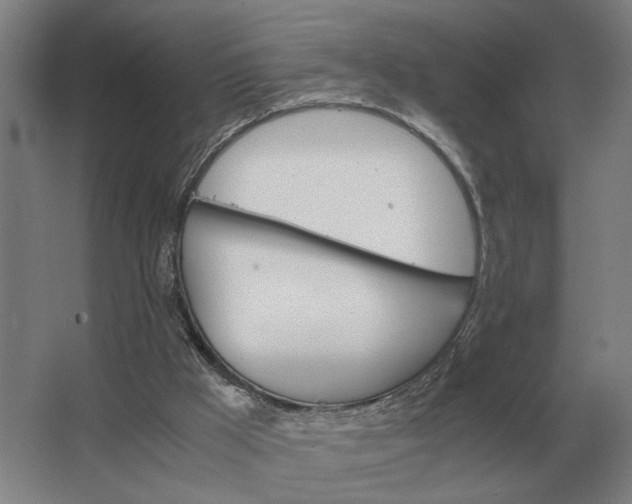 X0000062920009200601271817