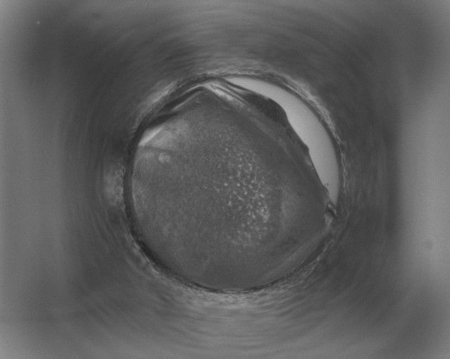 X0000062920010200601271817