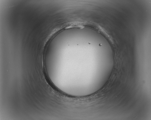 X0000062920011200601271817