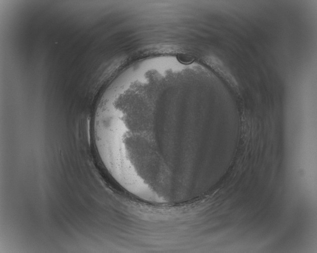 X0000062920014200601271817