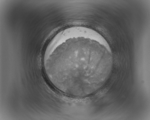 X0000062920016200601271817