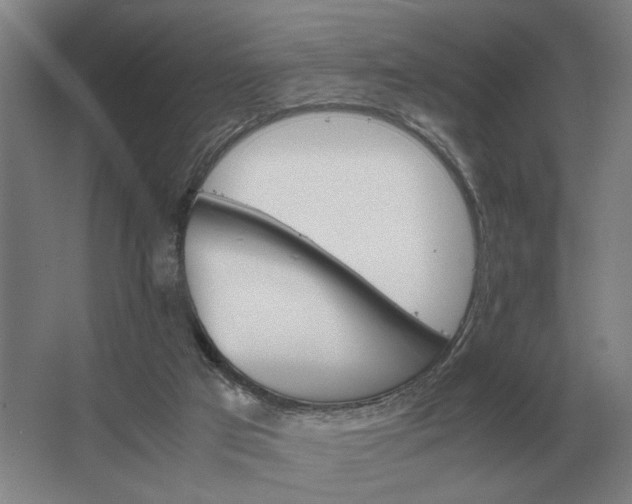 X0000062920017200601271817