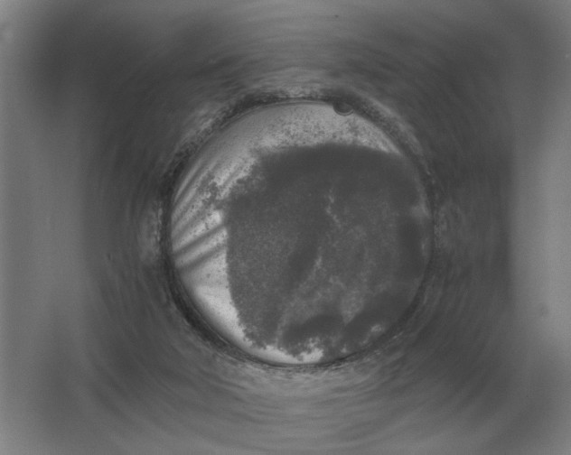 X0000062920018200601271817