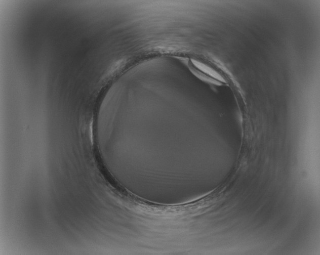 X0000062920019200601271817