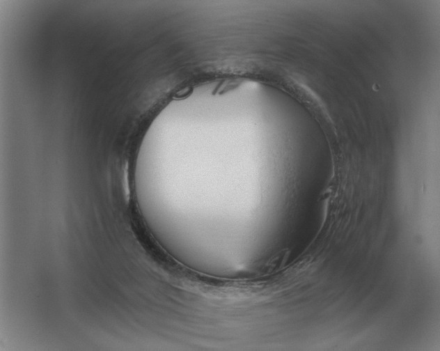 X0000062920020200601271817