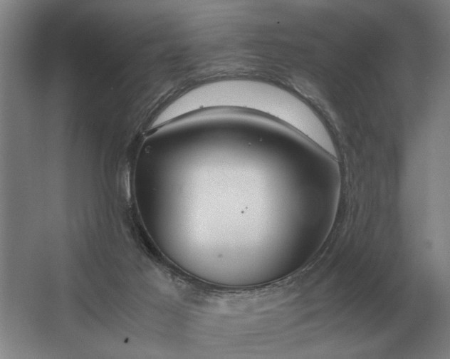 X0000062920021200601271817