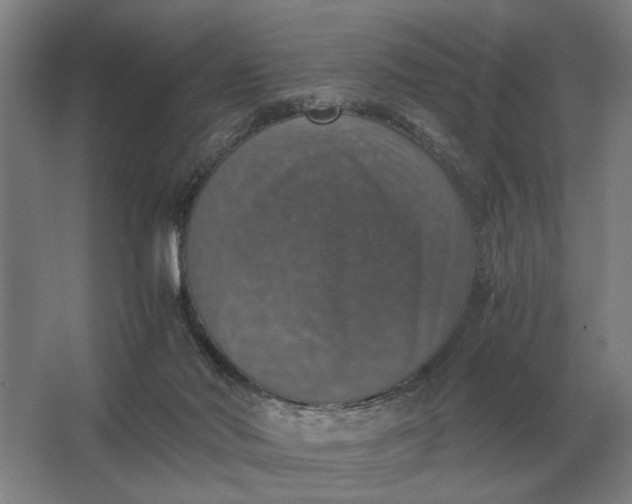 X0000062920022200601271817