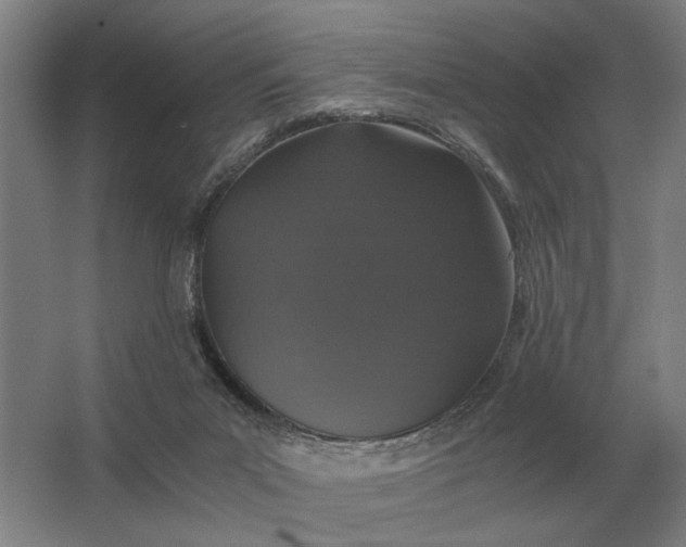 X0000062920023200601271817