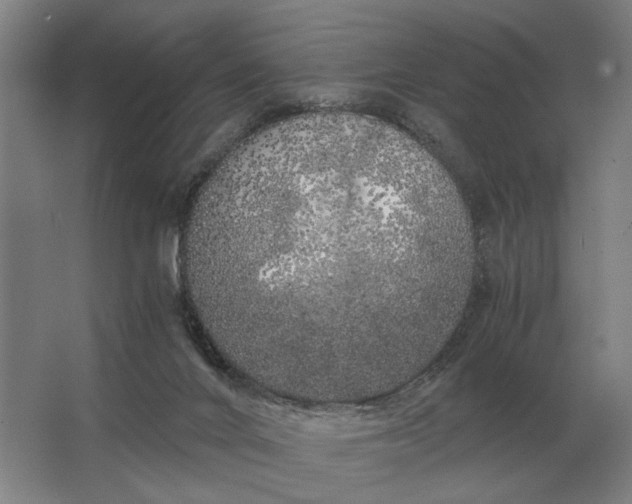 X0000062920024200601271817